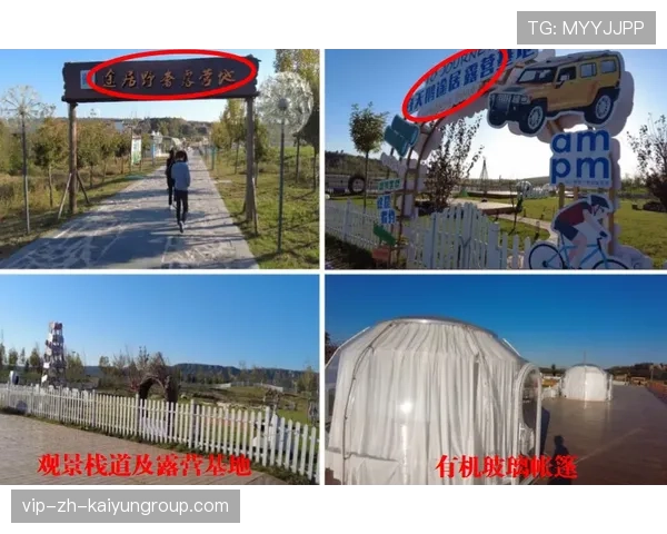 体育新闻中心构建体育生态环境保护内容系统，体育设施建设生态效益