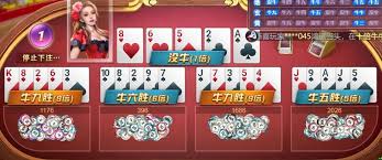 KAIYUN GROUP 中国官方站｜开启极速智能体育体验